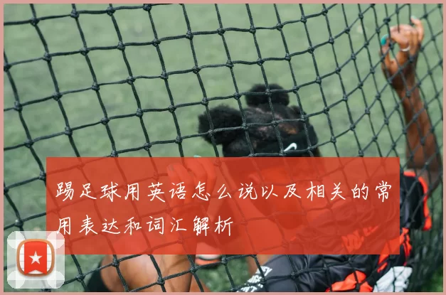 踢足球用英语怎么说以及相关的常用表达和词汇解析