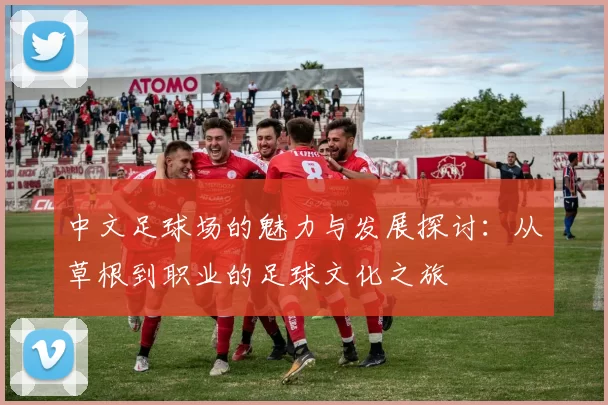中文足球场的魅力与发展探讨：从草根到职业的足球文化之旅