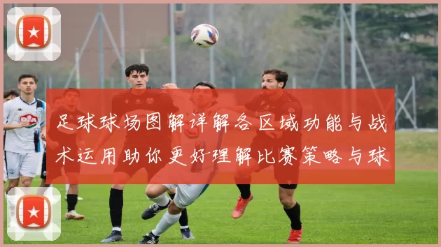 足球球场图解详解各区域功能与战术运用助你更好理解比赛策略与球员位置