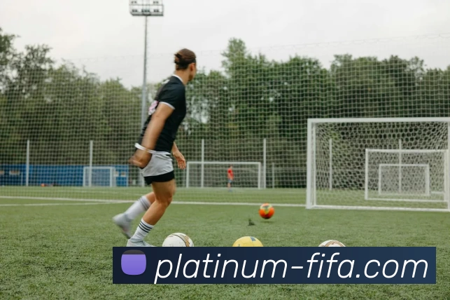 世界杯下注入口平台生态图