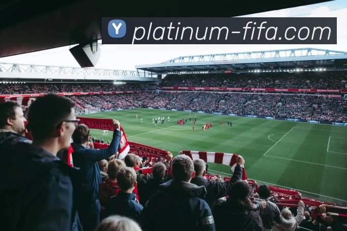 世界杯下注入口APP 封面图